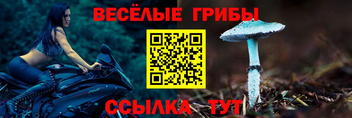 Псилоцибиновые грибы GOLDEN TEACHER  Галлюциногенные грибы мухоморы  Ишимбай  Вход с VPN 